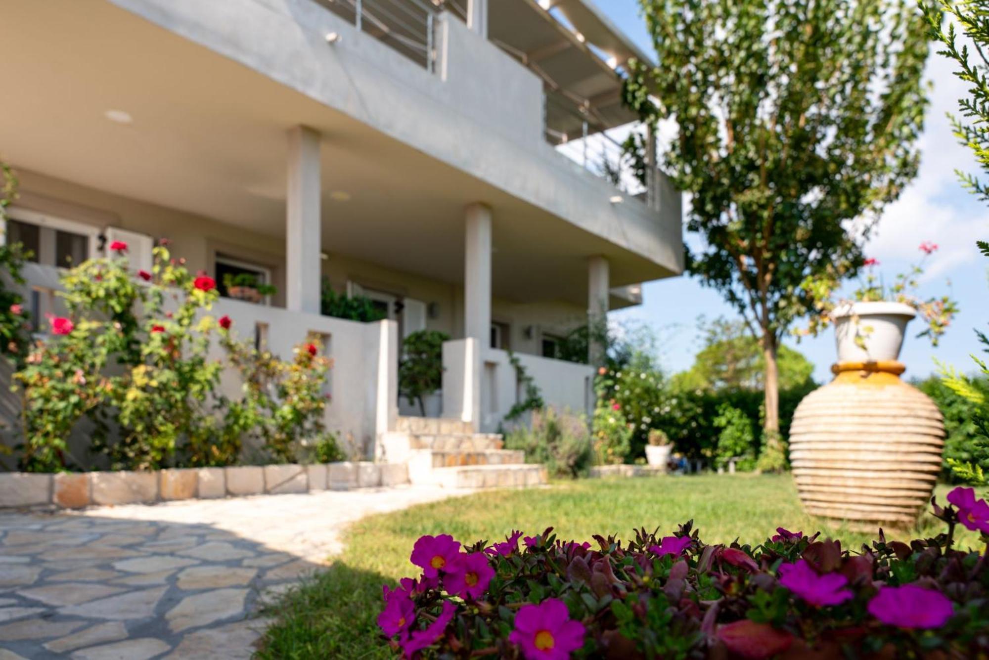 Tesys Studios And Apartments Laganas Exterior foto